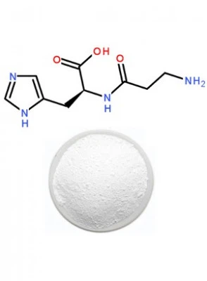 L Carnosine For Brain Health