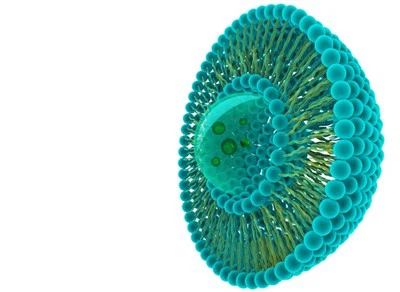 Liposomal Ascorbic Acid