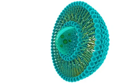 Liposomal Ascorbic Acid